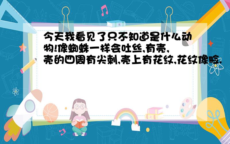 今天我看见了只不知道是什么动物!像蜘蛛一样会吐丝,有壳,壳的四周有尖刺,壳上有花纹,花纹像脸.