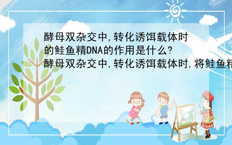 酵母双杂交中,转化诱饵载体时的鲑鱼精DNA的作用是什么?酵母双杂交中,转化诱饵载体时,将鲑鱼精同诱饵质粒同时加入的作用是什么?