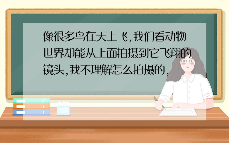 像很多鸟在天上飞,我们看动物世界却能从上面拍摄到它飞翔的镜头,我不理解怎么拍摄的,