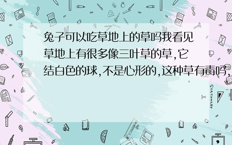 兔子可以吃草地上的草吗我看见草地上有很多像三叶草的草,它结白色的球,不是心形的,这种草有毒吗,兔子可以吃吗