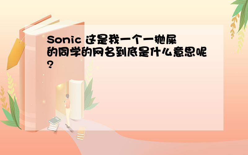 Sonic 这是我一个一抛屎的同学的网名到底是什么意思呢?