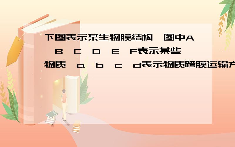 下图表示某生物膜结构,图中A、B、C、D、E、F表示某些物质,a、b、c、d表示物质跨膜运输方式.请1.图中B代表什么分子 2.在此图中判断细胞内 外侧的依据是[ ]       ([  ] 内填代号和名称) 3. 在图