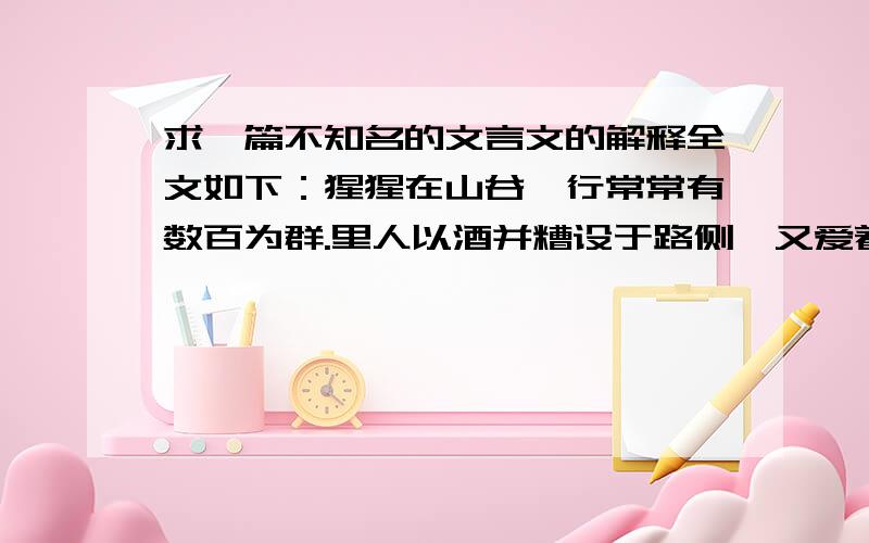 求一篇不知名的文言文的解释全文如下：猩猩在山谷,行常常有数百为群.里人以酒并糟设于路侧,又爱着屐,里人织草为屐,知里人设张,则知张者祖先姓字,及呼名骂云：“奴欲张我,舍尔而去.”