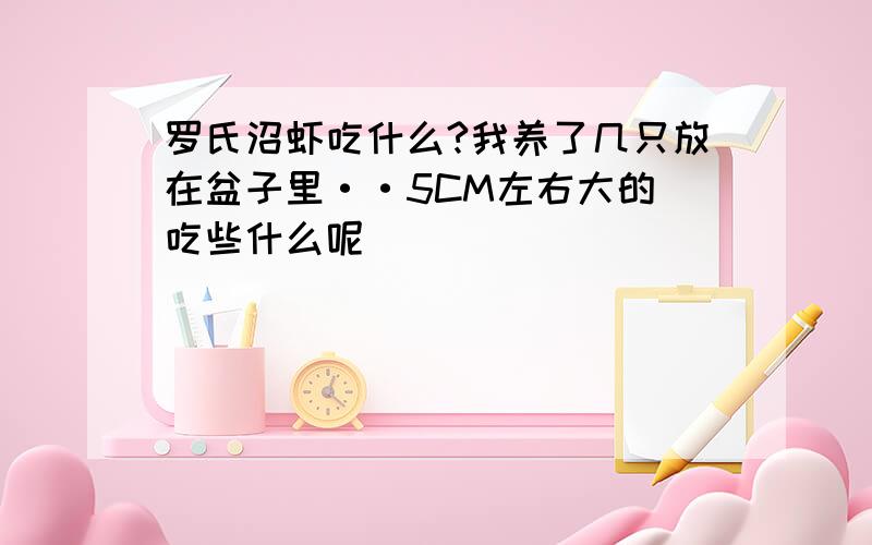 罗氏沼虾吃什么?我养了几只放在盆子里··5CM左右大的 吃些什么呢