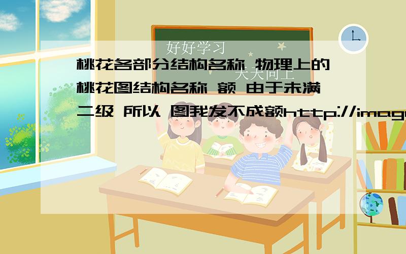 桃花各部分结构名称 物理上的桃花图结构名称 额 由于未满二级 所以 图我发不成额http://image.baidu.com/i?ct=503316480&z=&tn=baiduimagedetail&word=%CC%D2%BB%A8%BD%E1%B9%B9%CD%BC&in=7224&cl=2&lm=-1&pn=9&rn=1&di=17661182655