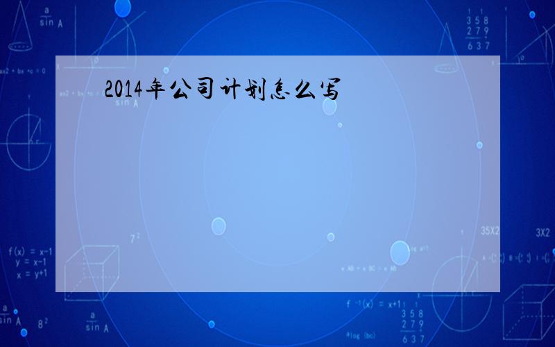 2014年公司计划怎么写