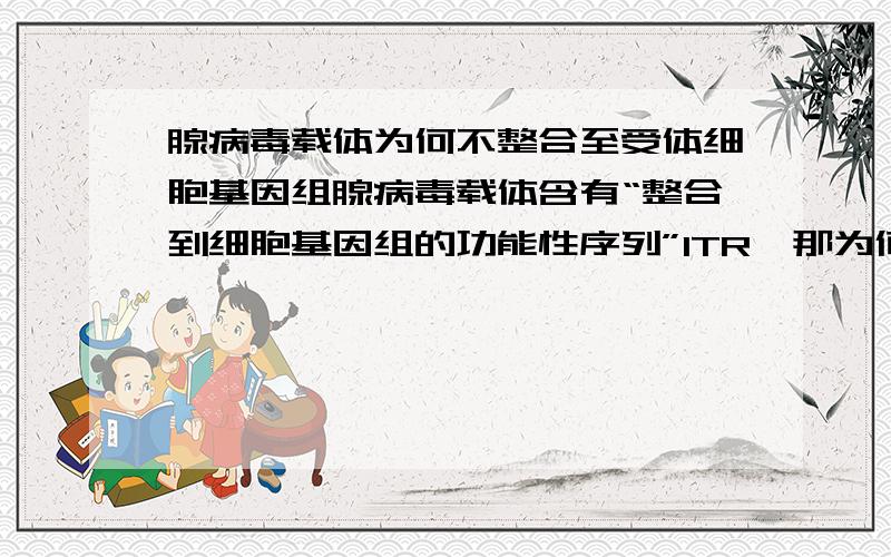 腺病毒载体为何不整合至受体细胞基因组腺病毒载体含有“整合到细胞基因组的功能性序列”ITR,那为何不能整合到细胞基因组?