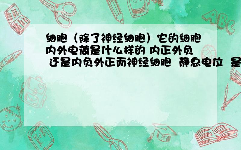 细胞（除了神经细胞）它的细胞内外电荷是什么样的 内正外负 还是内负外正而神经细胞  静息电位  是怎样的  动作电位是怎样的  是有什么离子进入引起的