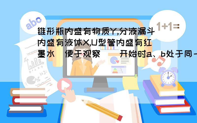 锥形瓶内盛有物质Y,分液漏斗内盛有液体X,U型管内盛有红墨水（便于观察）．开始时a、b处于同一水平线,当若X为石灰水,Y为二氧化碳气体,则U形管内A液面       B液面,为什么