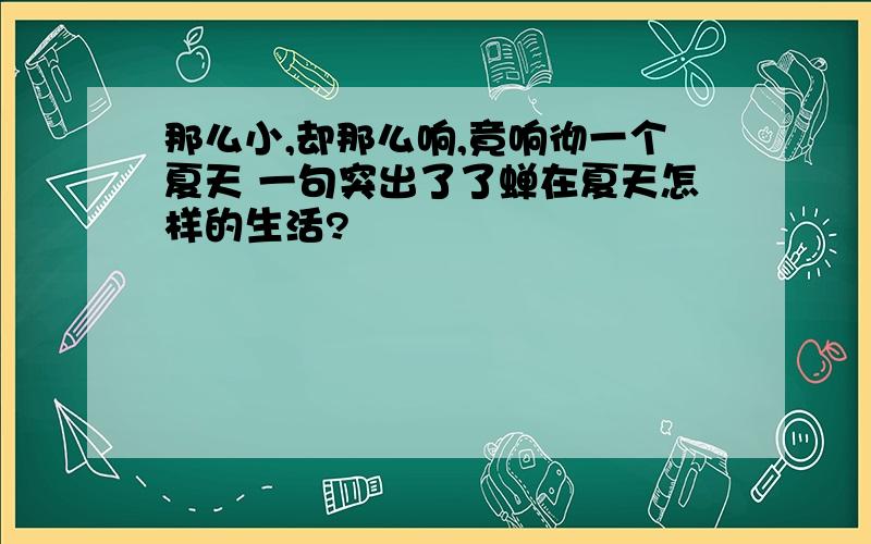 那么小,却那么响,竟响彻一个夏天 一句突出了了蝉在夏天怎样的生活?