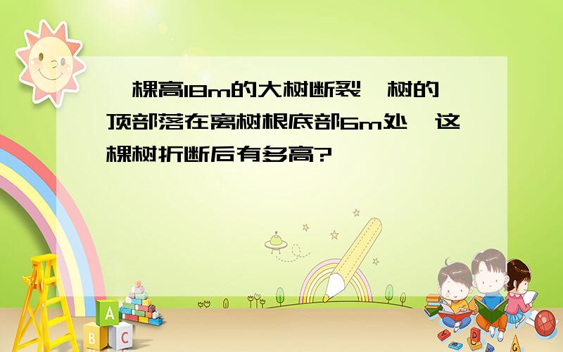 一棵高18m的大树断裂,树的顶部落在离树根底部6m处,这棵树折断后有多高?