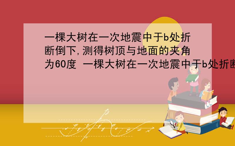 一棵大树在一次地震中于b处折断倒下,测得树顶与地面的夹角为60度 一棵大树在一次地震中于b处折断倒下,测得树顶与地面的夹角为60°,AC之间的距离为5米（是底边） 求大树原来的高度嗯嗯0.0