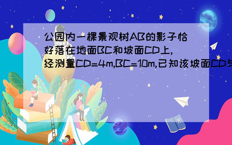 公园内一棵景观树AB的影子恰好落在地面BC和坡面CD上,经测量CD=4m,BC=10m,已知该坡面CD与地面成30°角,且此时测得2m的竹杆的影子为1m,求这棵景观树的高度.