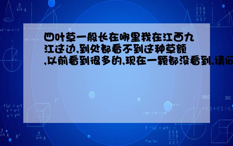 四叶草一般长在哪里我在江西九江这边,到处都看不到这种草额,以前看到很多的,现在一颗都没看到,请问这种草一般长在哪?