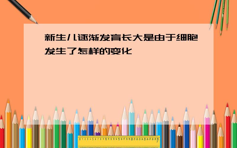 新生儿逐渐发育长大是由于细胞发生了怎样的变化