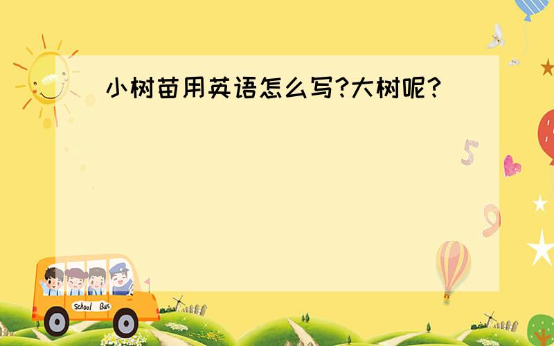 小树苗用英语怎么写?大树呢?