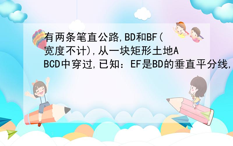 有两条笔直公路,BD和BF(宽度不计),从一块矩形土地ABCD中穿过,已知：EF是BD的垂直平分线,有BD=400,EF=300,求这块土地ABCD的面积