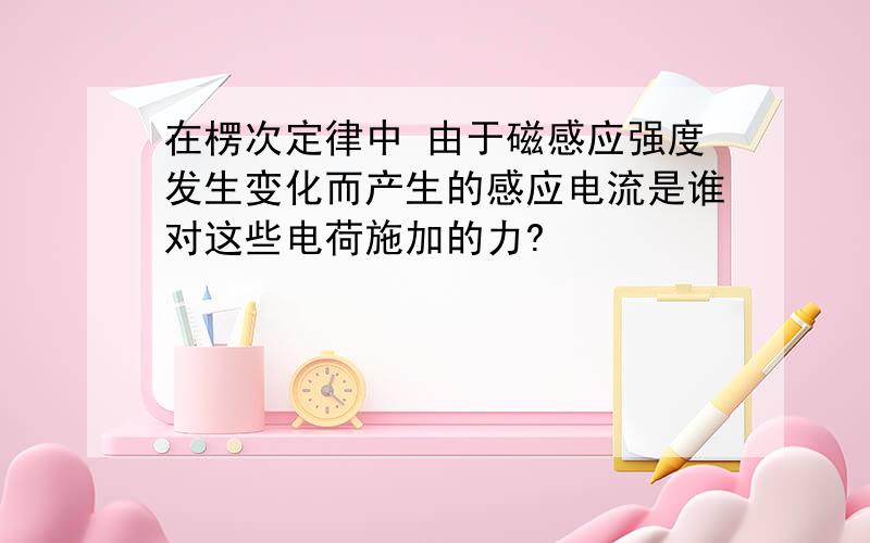 在楞次定律中 由于磁感应强度发生变化而产生的感应电流是谁对这些电荷施加的力?