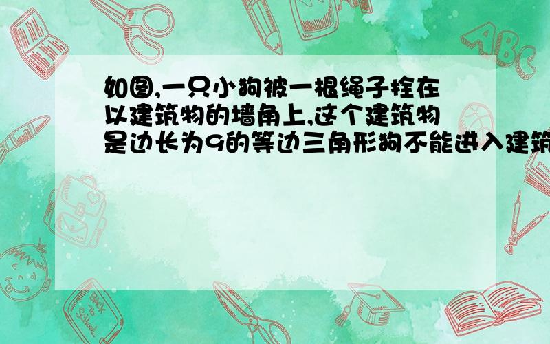 如图,一只小狗被一根绳子拴在以建筑物的墙角上,这个建筑物是边长为9的等边三角形狗不能进入建筑物活动（1）若绳子的长度恰好是9米长,球小狗能活动到的地面部分的面积（2）若绳子的长