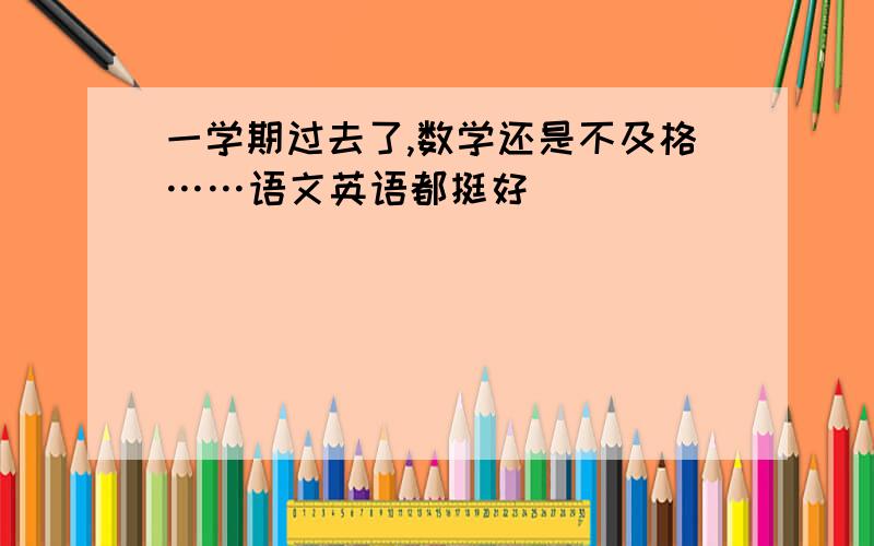 一学期过去了,数学还是不及格……语文英语都挺好