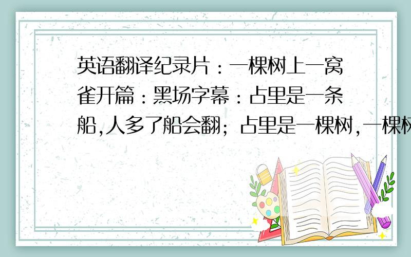 英语翻译纪录片：一棵树上一窝雀开篇：黑场字幕：占里是一条船,人多了船会翻；占里是一棵树,一棵树上一窝雀.现场：农历八月初一,占里计划生育仪式,寨老宣布寨规：每年的八月初一,我