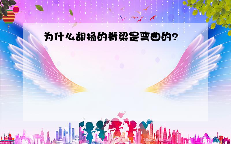 为什么胡杨的脊梁是弯曲的?