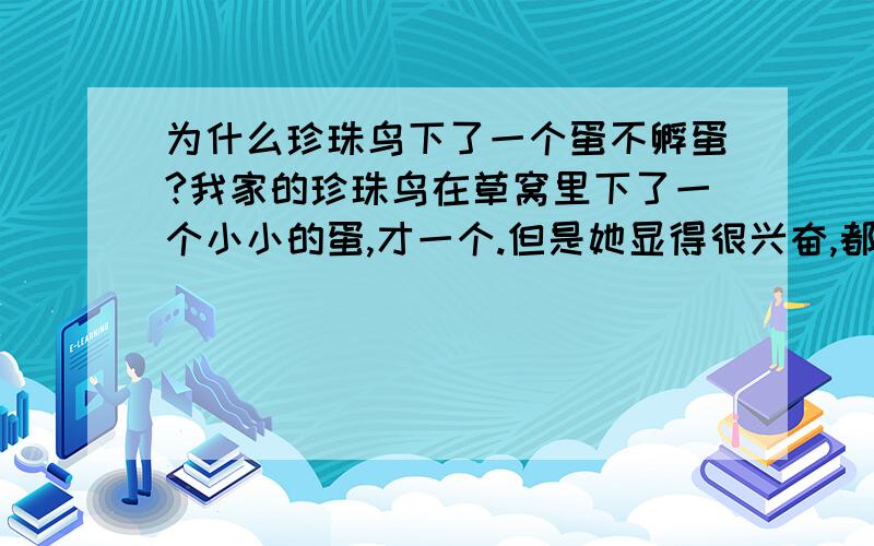 为什么珍珠鸟下了一个蛋不孵蛋?我家的珍珠鸟在草窝里下了一个小小的蛋,才一个.但是她显得很兴奋,都不去孵蛋.我该怎么办?这是怎么了,是不是我吓着她了?可是我也没有很好奇地看他们呀.