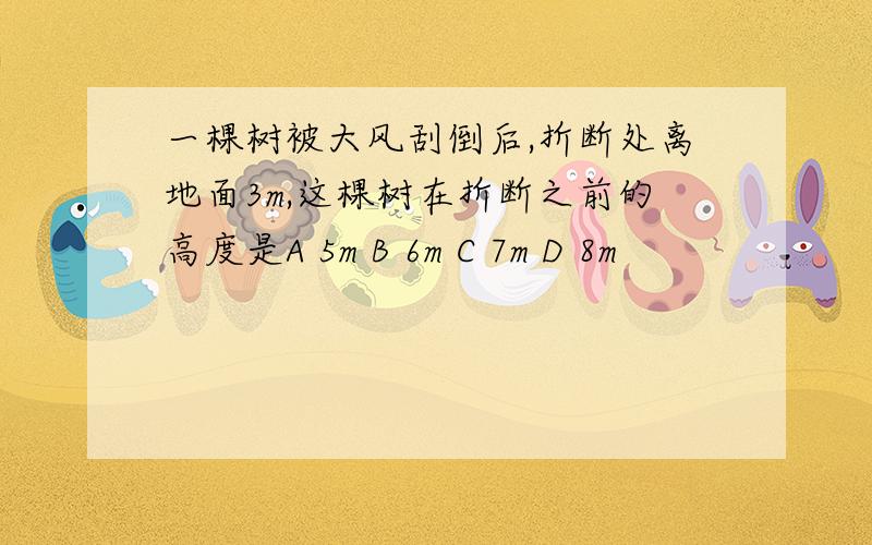 一棵树被大风刮倒后,折断处离地面3m,这棵树在折断之前的高度是A 5m B 6m C 7m D 8m