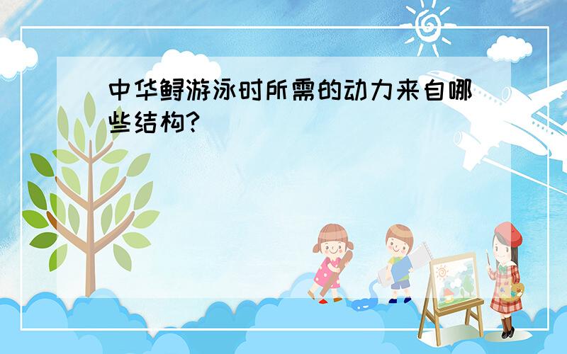 中华鲟游泳时所需的动力来自哪些结构?