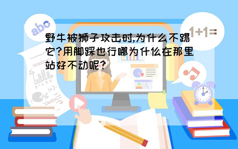 野牛被狮子攻击时,为什么不踢它?用脚踩也行哪为什仫在那里站好不动呢?