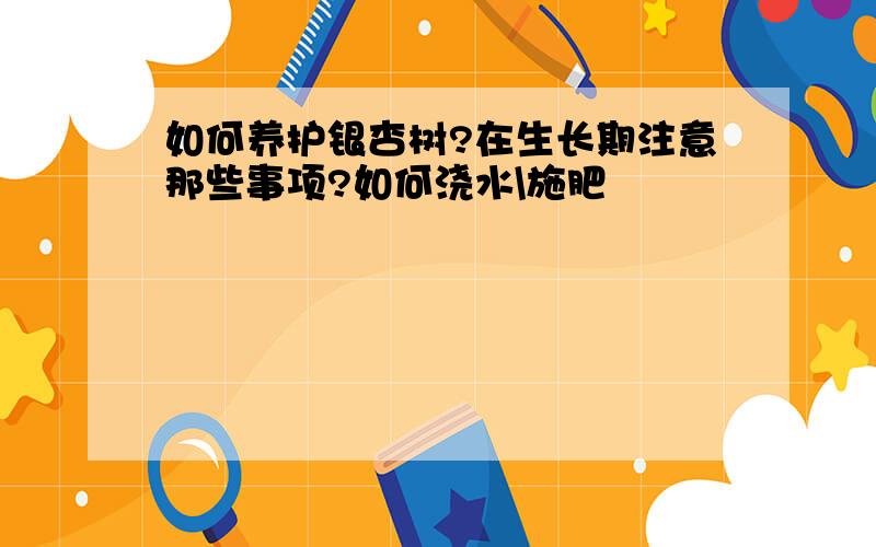 如何养护银杏树?在生长期注意那些事项?如何浇水\施肥