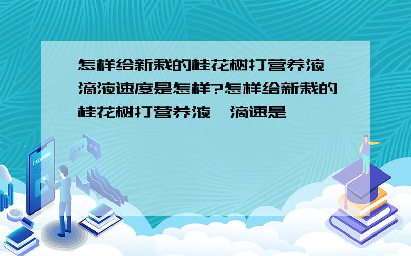 怎样给新栽的桂花树打营养液,滴液速度是怎样?怎样给新栽的桂花树打营养液,滴速是