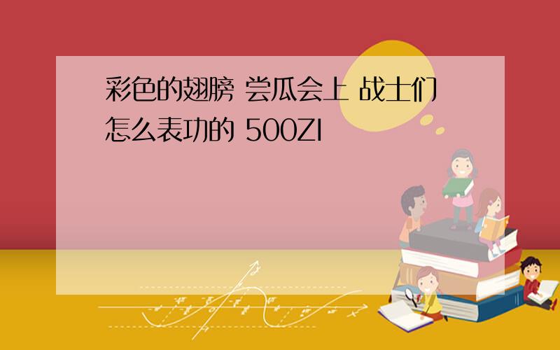 彩色的翅膀 尝瓜会上 战士们怎么表功的 500ZI