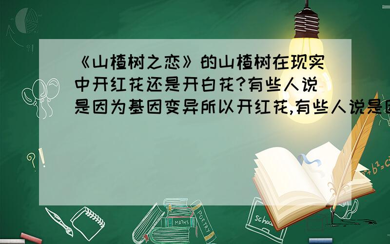 《山楂树之恋》的山楂树在现实中开红花还是开白花?有些人说是因为基因变异所以开红花,有些人说是因为基因变异所以开红花,有些人说只是对我们红色教育是开白色的 到底是开什么颜色的