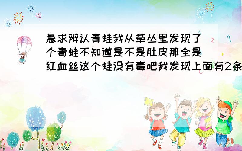 急求辨认青蛙我从草丛里发现了个青蛙不知道是不是肚皮那全是红血丝这个蛙没有毒吧我发现上面有2条棱求大神看看这到底是生么青蛙还是蟾蜍