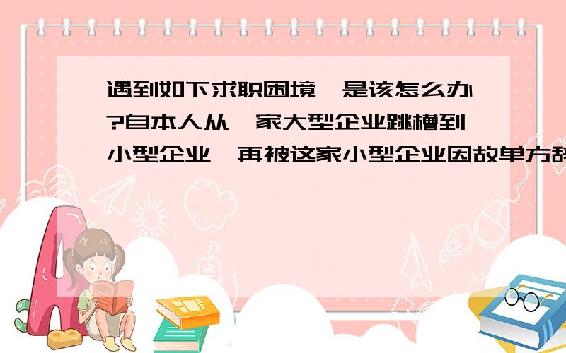 遇到如下求职困境,是该怎么办?自本人从一家大型企业跳槽到小型企业,再被这家小型企业因故单方辞退后至今求职一直未顺利成功过.原因就是,我所求职的企业都是规模不大只有数十人,也是