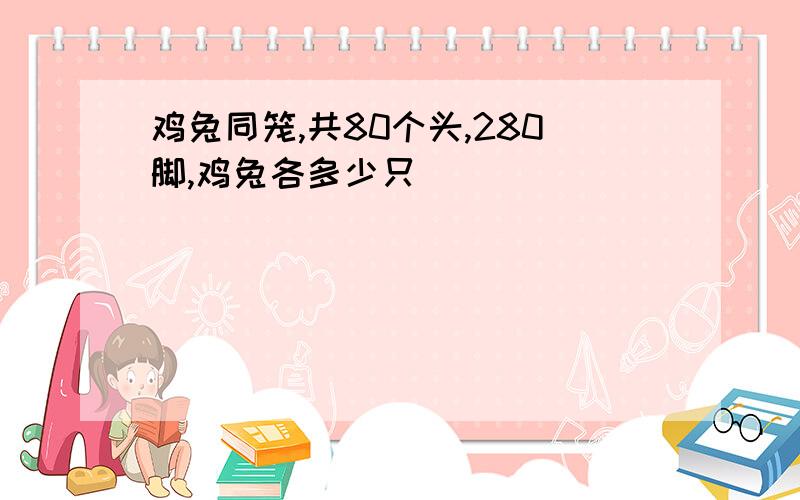 鸡兔同笼,共80个头,280脚,鸡兔各多少只