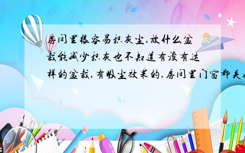 房间里很容易积灰尘,放什么盆栽能减少积灰也不知道有没有这样的盆栽,有吸尘效果的,房间里门窗都关好地方也不大也很容易笔记本盖上都一层灰,呵呵,