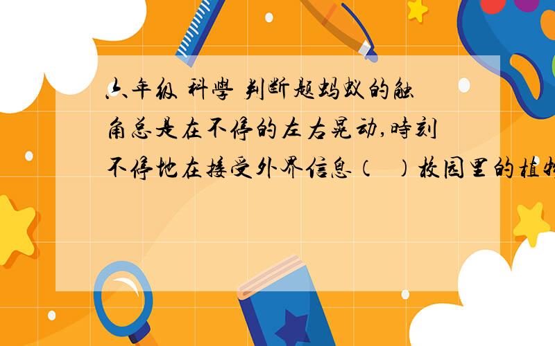 六年级 科学 判断题蚂蚁的触角总是在不停的左右晃动,时刻不停地在接受外界信息（  ）校园里的植物都是陆生植物（  ）校园里的植物都是四季常绿的植物（  ）在搜索校园里的生物时,不要