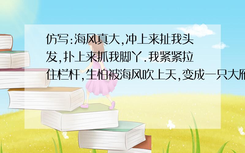 仿写:海风真大,冲上来扯我头发,扑上来抓我脚丫.我紧紧拉住栏杆,生怕被海风吹上天,变成一只大雁