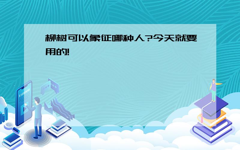 柳树可以象征哪种人?今天就要用的!