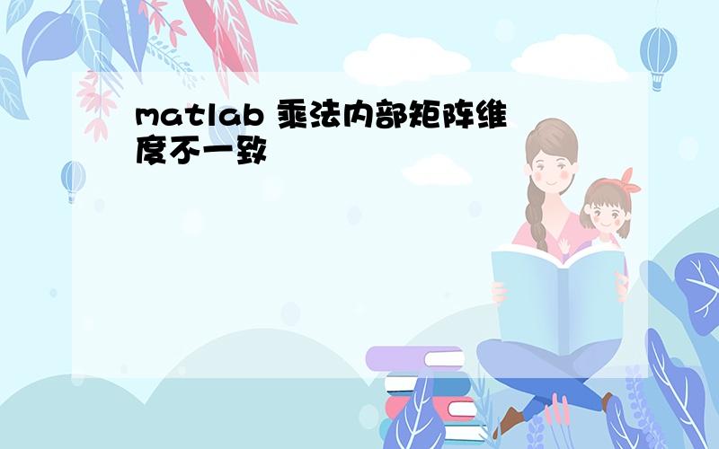 matlab 乘法内部矩阵维度不一致