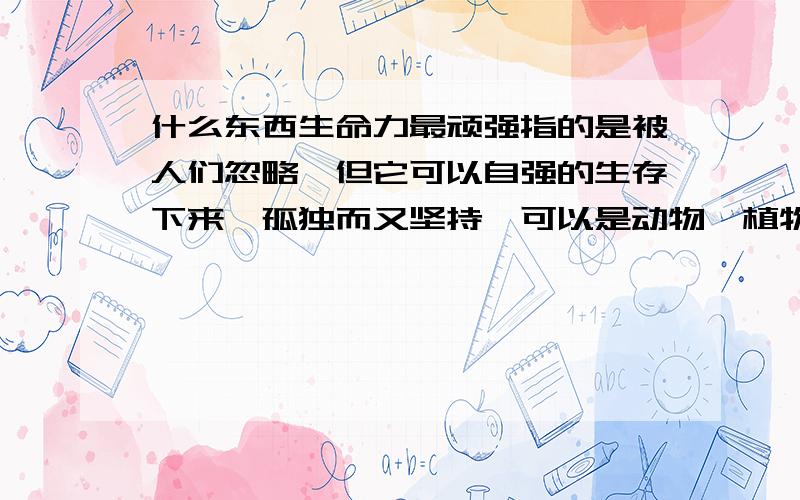 什么东西生命力最顽强指的是被人们忽略,但它可以自强的生存下来,孤独而又坚持,可以是动物、植物也可以是其他的……谢谢……