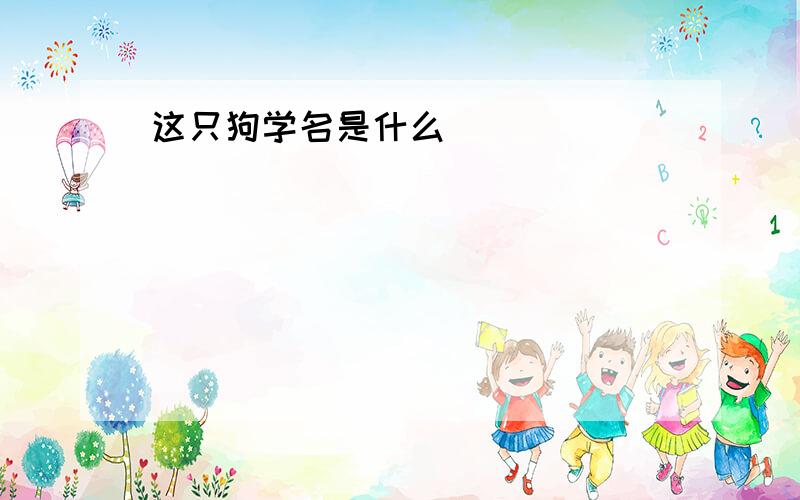 这只狗学名是什么