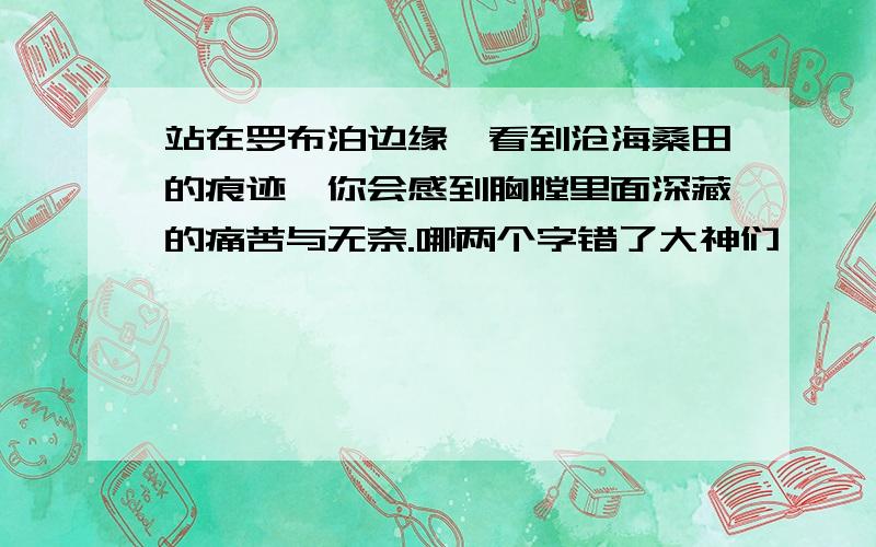 站在罗布泊边缘,看到沧海桑田的痕迹,你会感到胸膛里面深藏的痛苦与无奈.哪两个字错了大神们