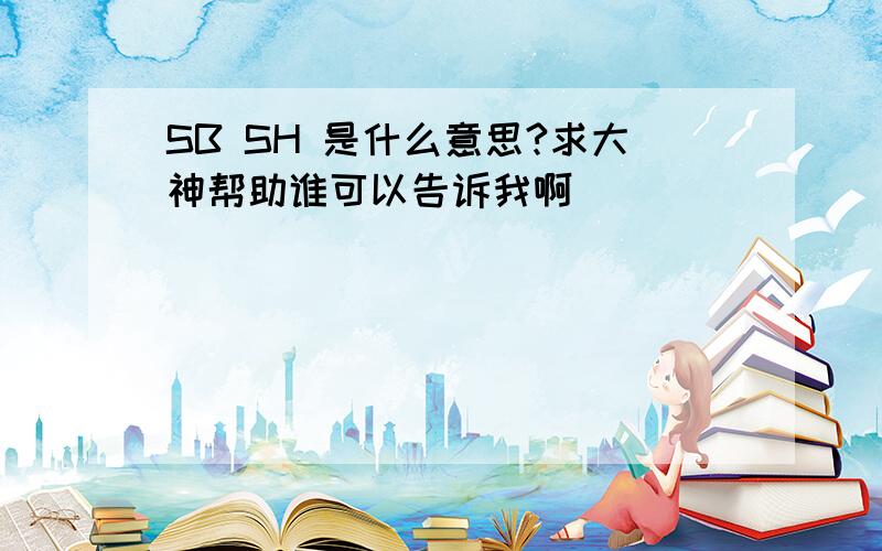 SB SH 是什么意思?求大神帮助谁可以告诉我啊