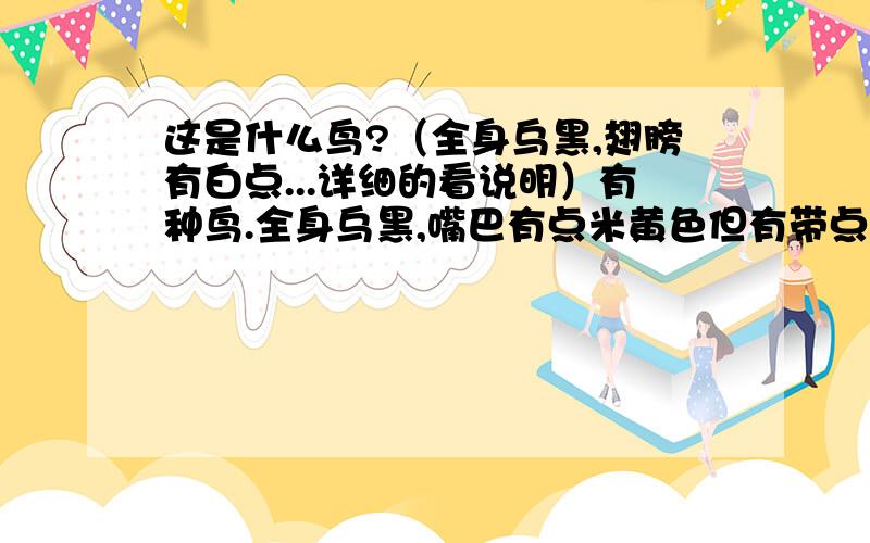 这是什么鸟?（全身乌黑,翅膀有白点...详细的看说明）有种鸟.全身乌黑,嘴巴有点米黄色但有带点嫩红.一对翅膀下方有白色斑点大概有乒乓球大小.眼睛中间是黑色的围绕黑色周围的是很淡的