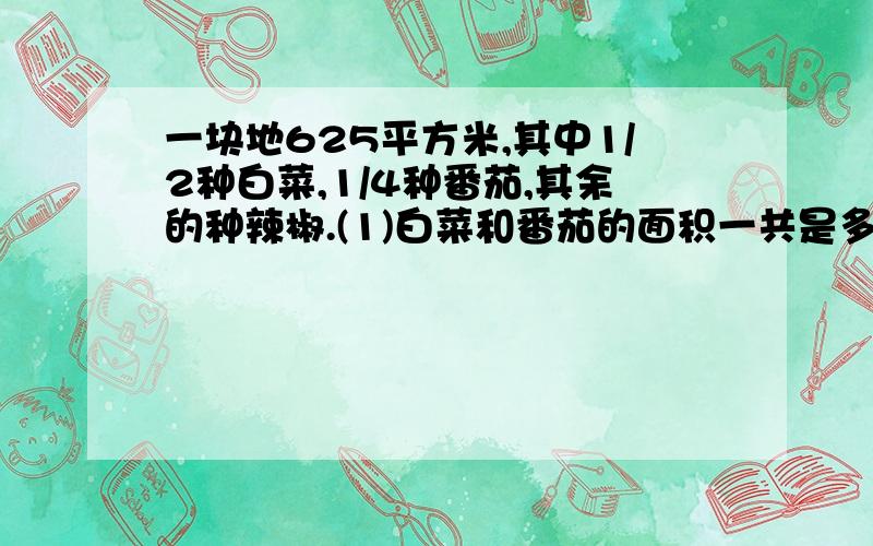 一块地625平方米,其中1/2种白菜,1/4种番茄,其余的种辣椒.(1)白菜和番茄的面积一共是多一块地625平方米,其中1/2种白菜,1/4种番茄,其余的种辣椒.(1)白菜和番茄的面积一共是多少平方米?(2)白菜的