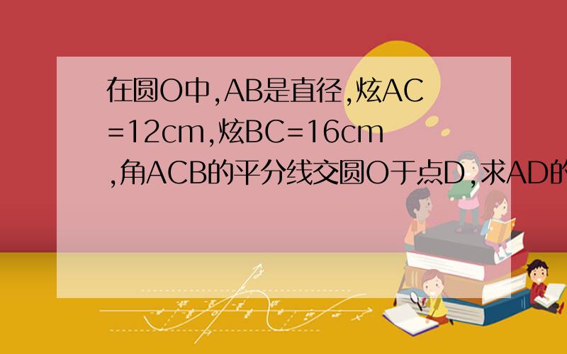 在圆O中,AB是直径,炫AC=12cm,炫BC=16cm,角ACB的平分线交圆O于点D,求AD的长