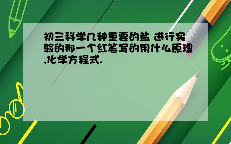 初三科学几种重要的盐 进行实验的那一个红笔写的用什么原理,化学方程式.